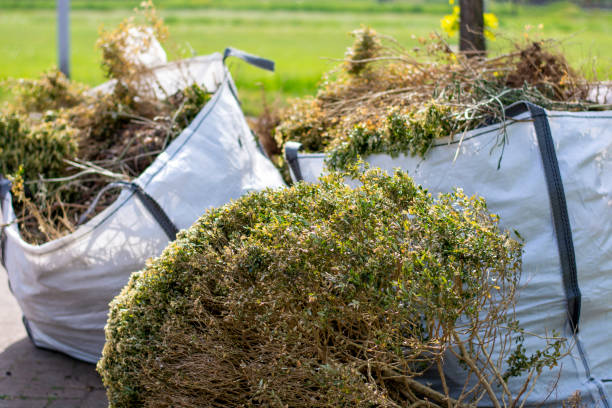 Best Junk Removal and Recycling  in Ashburn, GA